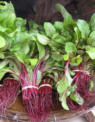 The power of green, a delicious necessity…