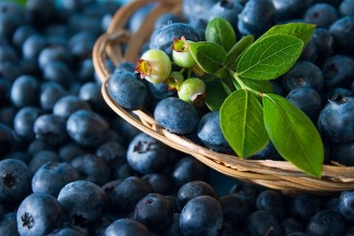 Natures Little Blue Wonder (food)…