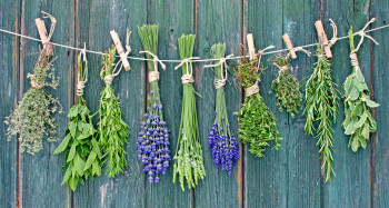 Spicing your Life (& Health) with Herbs